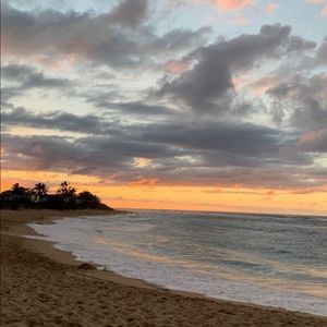 Meet your Posher, Sydney